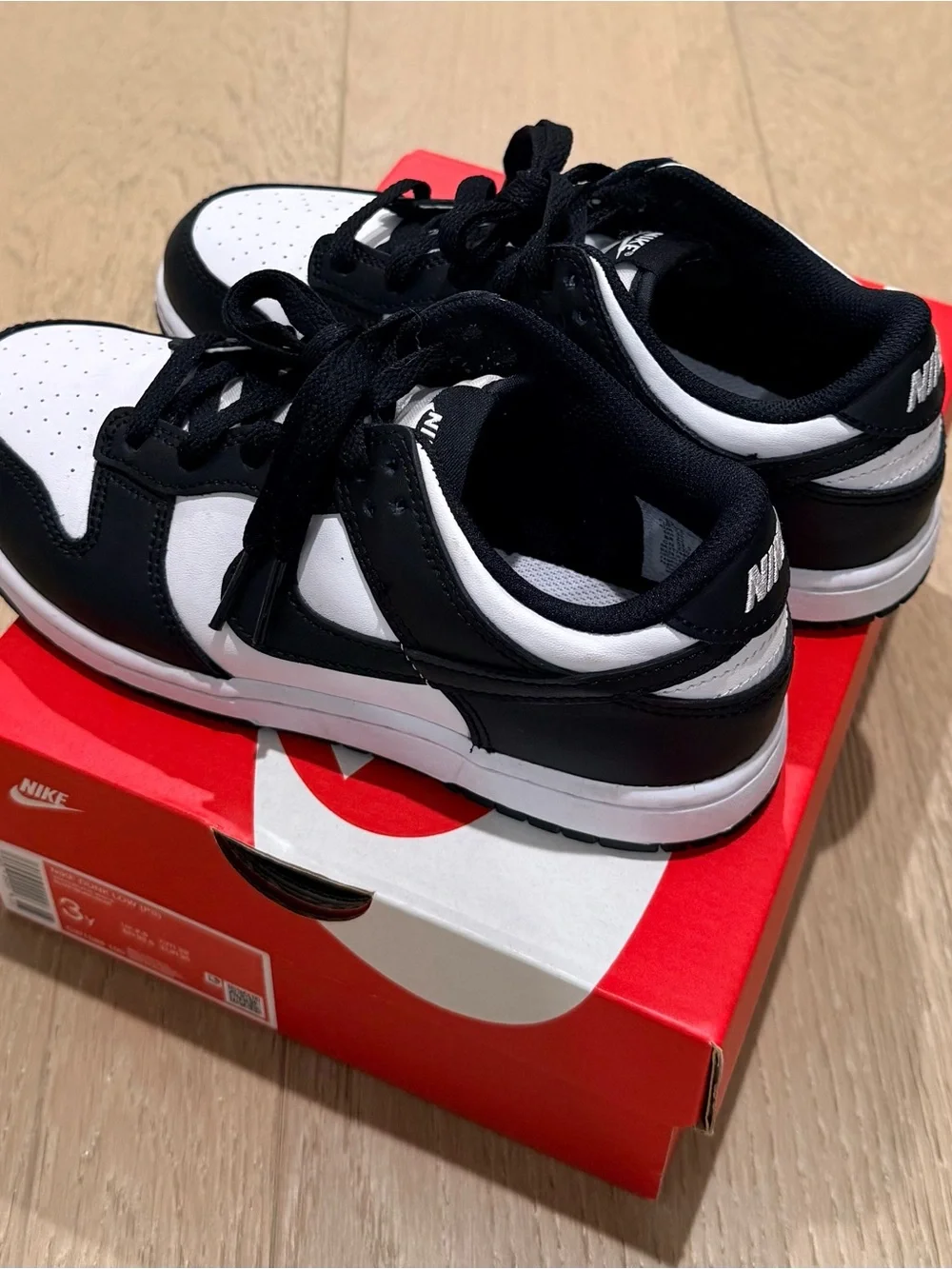 Nike Kids Dunk Low Sneakers 3Y